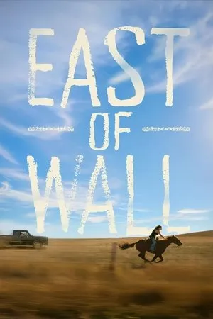 Affiche du film The New West