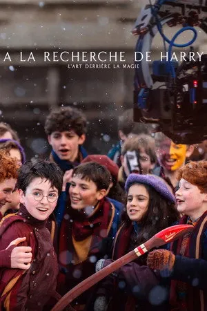 Affiche du film À la recherche de Harry : L'art derrière la magie