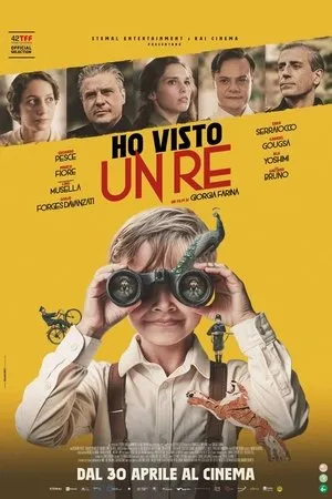 Affiche du film Ho visto un re