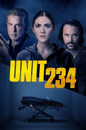 Affiche du film Box 234