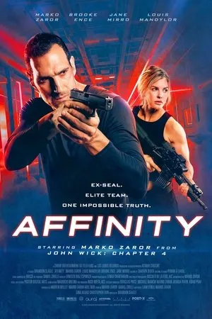 Affiche du film Affinity