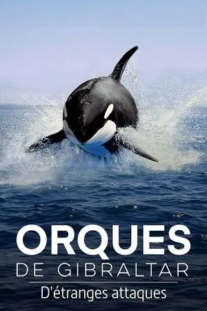 Affiche du film Orques de Gibraltar : D'étranges attaques