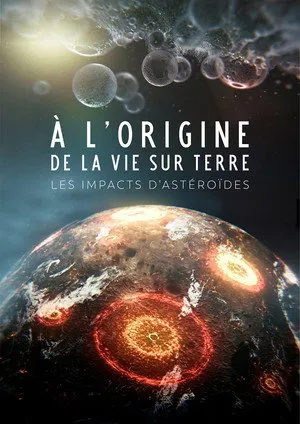 Affiche du film À l'origine de la vie : Les Impacts d'astéroïdes