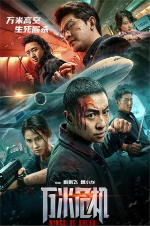 Affiche du film 万米危机