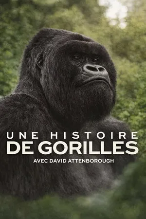 Affiche du film Une histoire de gorilles avec David Attenborough