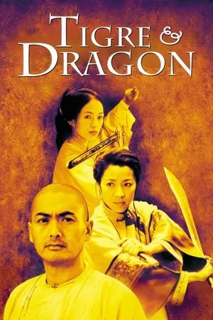 Affiche du film Tigre & Dragon