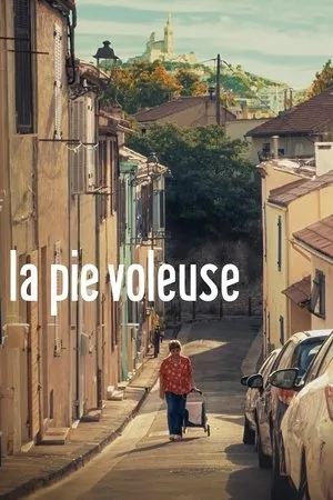 Affiche du film La Pie voleuse