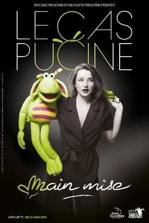 Affiche du film Le Cas Pucine - Main mise
