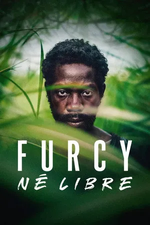 Affiche du film Furcy, né libre