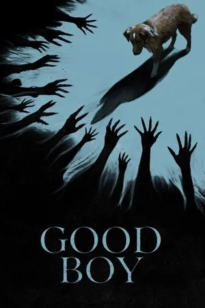 Affiche du film Good Boy