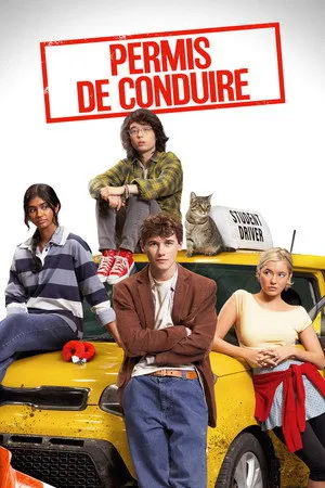Affiche du film Permis de Conduire