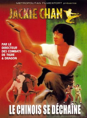 Affiche du film Le Chinois se déchaîne