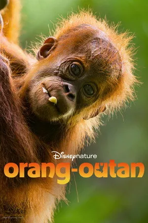 Affiche du film Orang-outan