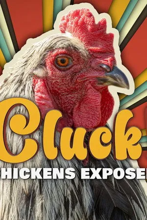 Affiche du film Cluck! Chickens Exposed