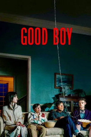Affiche du film Good Boy