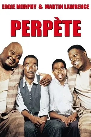 Affiche du film Perpète
