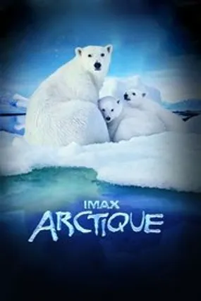 Affiche officielle du film Arctique (2012) en French - Regarder en streaming sur GauloisFlix