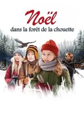 Affiche officielle du film Noël dans la forêt de la chouette (2018) en TrueFrench - HDLight - Regarder en streaming sur GauloisFlix