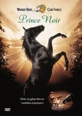 Affiche officielle du film Prince noir (1994) en TrueFrench - HDLight - Regarder en streaming sur GauloisFlix