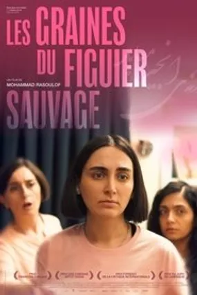 Affiche officielle du film Les Graines du figuier sauvage (2024) en TrueFrench - HDLight - Regarder en streaming sur GauloisFlix