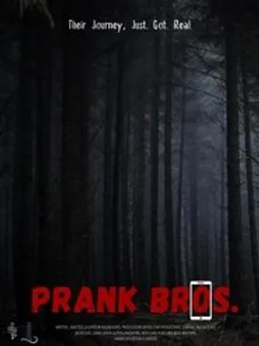 Affiche officielle du film Prank Bros (2021) en French - Bdrip LD - Regarder en streaming sur GauloisFlix