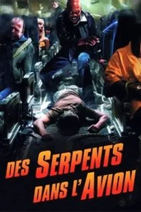 Affiche officielle du film Des Serpents Dans l'Avion (2006) en TrueFrench - HDLight - Regarder en streaming sur GauloisFlix