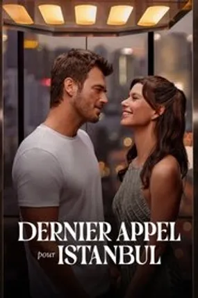 Affiche officielle du film Dernier appel pour Istanbul (2023) en TrueFrench - HDLight - Regarder en streaming sur GauloisFlix