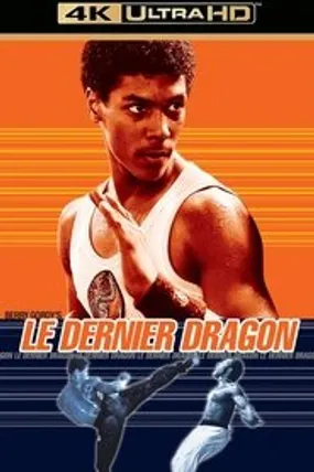 Affiche officielle du film Le Dernier Dragon (1985) en French - DVDRIP - Regarder en streaming sur GauloisFlix