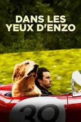 Affiche officielle du film Dans les yeux d'Enzo (2019) en TrueFrench - HDLight - Regarder en streaming sur GauloisFlix