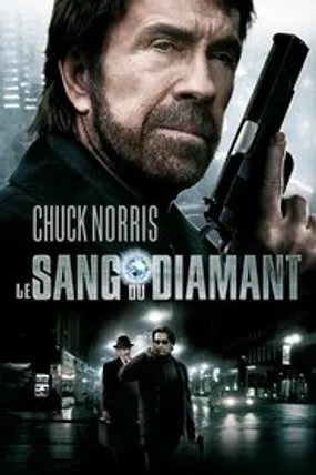 Affiche officielle du film Le Sang du diamant (2005) en TrueFrench - HDLight - Regarder en streaming sur GauloisFlix