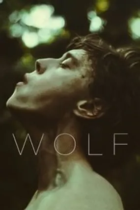 Affiche officielle du film Wolf (2021) en French - HDLight - Regarder en streaming sur GauloisFlix