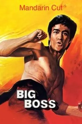 Affiche officielle du film Big Boss (1971) en TrueFrench - HDLight - Regarder en streaming sur GauloisFlix