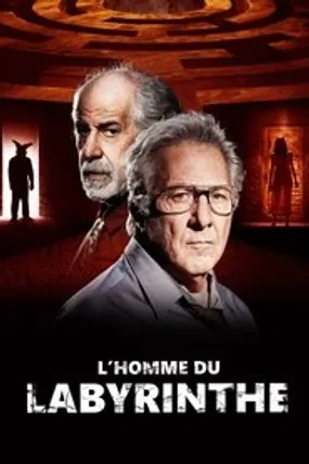 Affiche officielle du film L'Homme du labyrinthe (2019) en French - HDLight - Regarder en streaming sur GauloisFlix