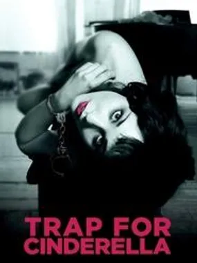 Affiche officielle du film Trap for Cinderella (2013) en French - Regarder en streaming sur GauloisFlix