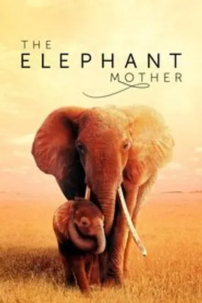 Affiche officielle du film The Elephant Mother (2019) en French - HDLight - Regarder en streaming sur GauloisFlix