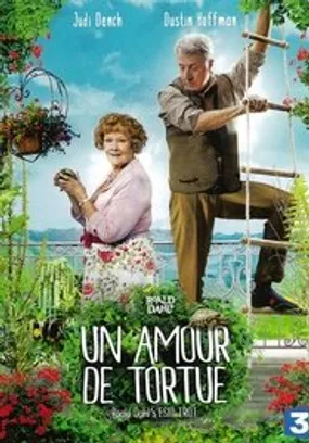 Affiche officielle du film Un amour de tortue (2015) en TrueFrench - DVDRIP - Regarder en streaming sur GauloisFlix