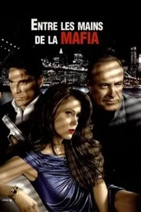 Affiche officielle du film Une femme de cran (2008) en TrueFrench - HDLight - Regarder en streaming sur GauloisFlix