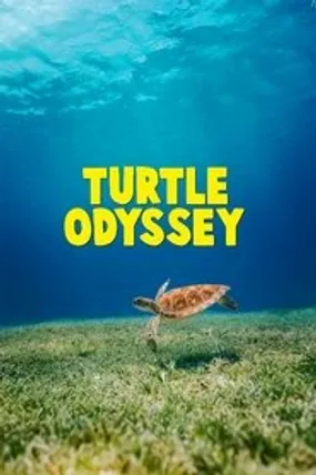 Affiche officielle du film Turtle Odyssey (2018) en French - HDLight - Regarder en streaming sur GauloisFlix