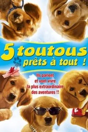 Affiche officielle du film 5 toutous prêts à tout (2006) en French - HDLight - Regarder en streaming sur GauloisFlix