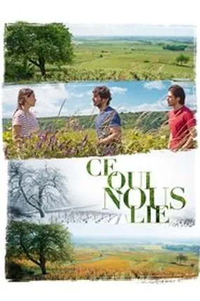 Affiche officielle du film Ce qui nous lie (2017) en TrueFrench - HDLight - Regarder en streaming sur GauloisFlix