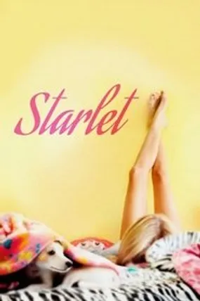Affiche officielle du film Starlet (2012) en VOSTFR - DVDRIP - Regarder en streaming sur GauloisFlix