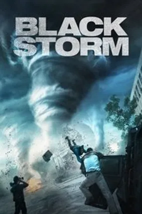Affiche officielle du film Black Storm (2014) en TrueFrench - HDLight - Regarder en streaming sur GauloisFlix