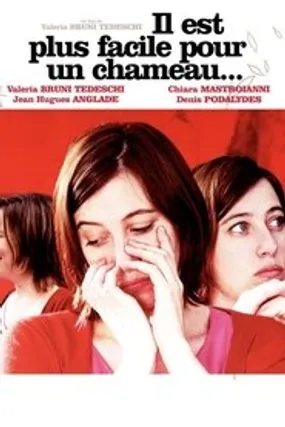 Affiche officielle du film Il est plus facile pour un chameau... (2003) en French - DVDRIP - Regarder en streaming sur GauloisFlix