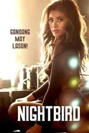 Affiche officielle du film Nightbird (2023) en French - Bdrip LD - Regarder en streaming sur GauloisFlix