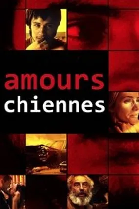 Affiche officielle du film Amours chiennes (2000) en TrueFrench - HDLight - Regarder en streaming sur GauloisFlix