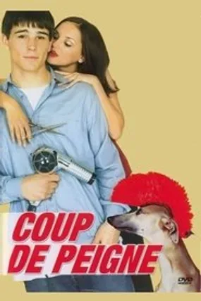 Affiche officielle du film Coup de peigne (2001) en French - Regarder en streaming sur GauloisFlix