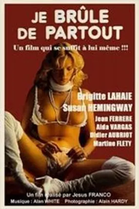 Affiche officielle du film Je brûle de partout (1979) en TrueFrench - HDLight - Regarder en streaming sur GauloisFlix