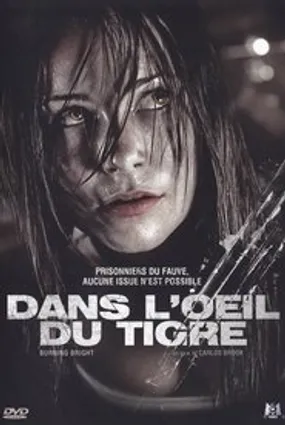 Affiche officielle du film Dans l'œil du tigre (2010) en TrueFrench - DVDRIP - Regarder en streaming sur GauloisFlix