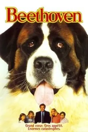 Affiche officielle du film Beethoven (1992) en TrueFrench - HDLight - Regarder en streaming sur GauloisFlix