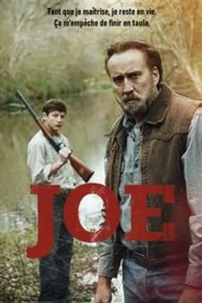 Affiche officielle du film Joe (2014) en French - HDLight - Regarder en streaming sur GauloisFlix